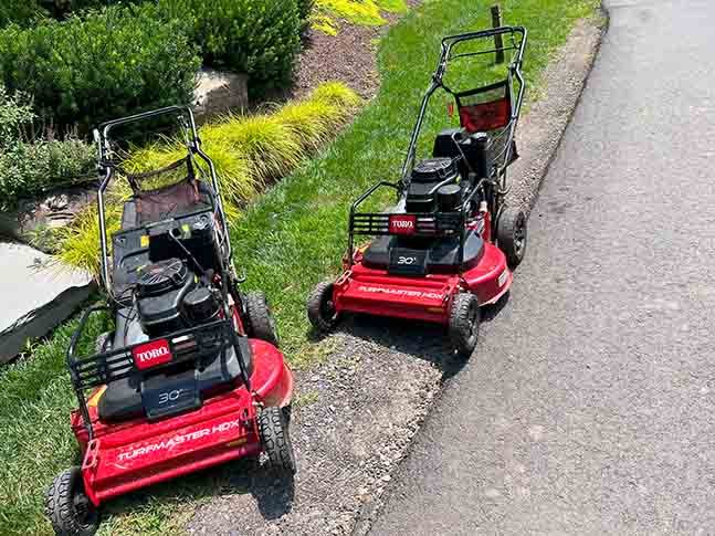expertlandscapingmaintenance