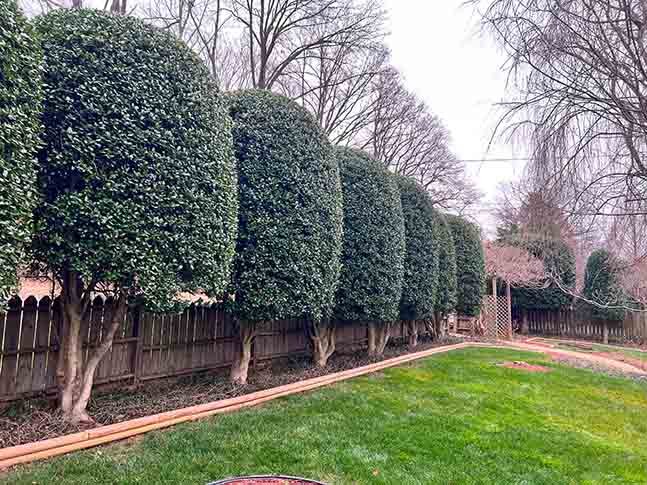 expertlandscapingmaintenance