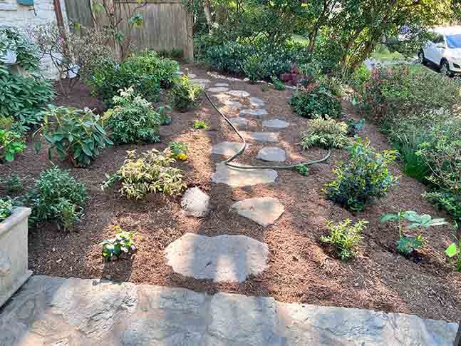 expertlandscapingmaintenance