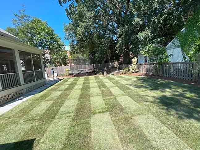 expertlandscapingmaintenance