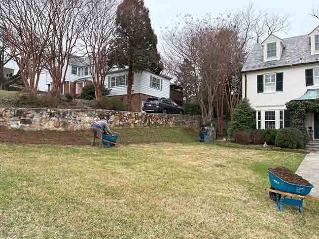 expertlandscapingmaintenance